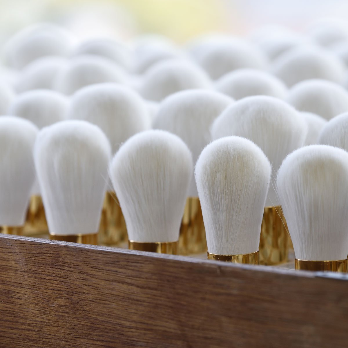 The Powder Brush